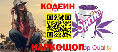 индика Сланцы