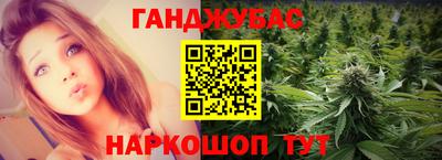 индика Сланцы