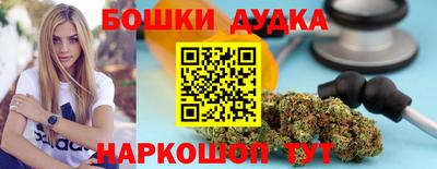 индика Сланцы