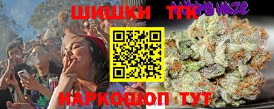индика Сланцы