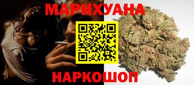 индика Сланцы