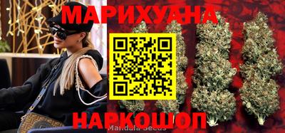 индика Сланцы