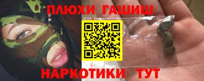 индика Сланцы