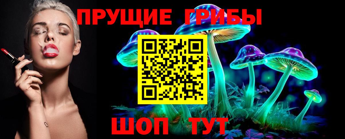 Галлюциногенные грибы Cubensis  Вход с VPN  Новокубанск  Псилоцибиновые грибы MAGIC MUSHROOMS 